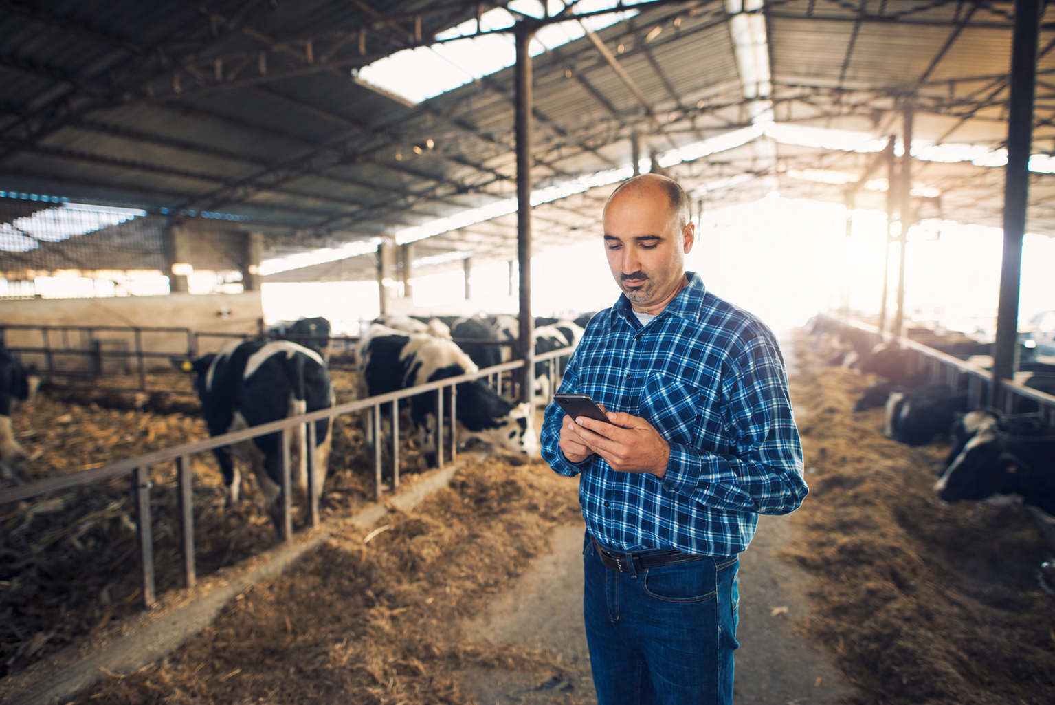 Productor agrícola revisando datos en su tablet dentro del campo